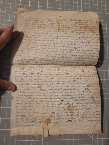 Medieval Charter. Manuscript on Parchment, 1285. Sale of Land by Juliette de Bapalme and Brother Jehan