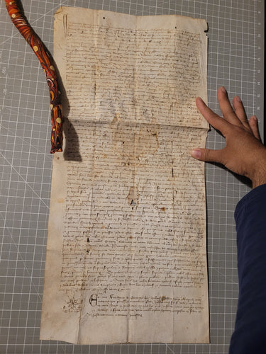 Medieval Charter Dating from the 100 Years War. Large Manuscript on Parchment, January 7th, 1420. Marguerite de Spina, Lady of Spina, Appoints New Attorneys, Notaries, and More. With a Detailed Initial and Signum