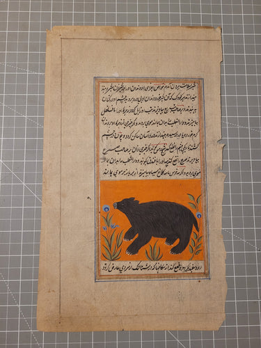 Folio from the Ajā’ib al-makhlūqāt, depicting a Bear, also known as The Wonders of Creatures and the Marvels of Creation, 18th Century. Likely India. Illustrated Manuscript on Paper