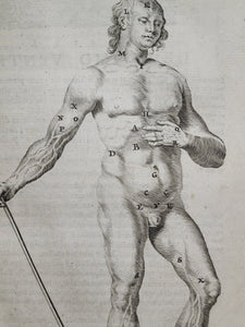 Anatomia ex Caspari Bartholini parentis Institutionibus omniumque recentiorum &amp; propriis observationibus tertiùm ad sanguinis circulationem reformata, 1651