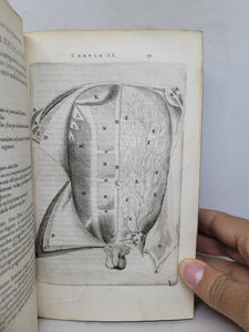 Anatomia ex Caspari Bartholini parentis Institutionibus omniumque recentiorum &amp; propriis observationibus tertiùm ad sanguinis circulationem reformata, 1651