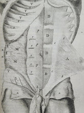 Load image into Gallery viewer, Anatomia ex Caspari Bartholini parentis Institutionibus omniumque recentiorum &amp; propriis observationibus tertiùm ad sanguinis circulationem reformata, 1651