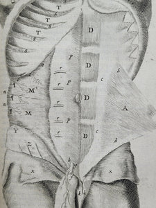 Anatomia ex Caspari Bartholini parentis Institutionibus omniumque recentiorum &amp; propriis observationibus tertiùm ad sanguinis circulationem reformata, 1651