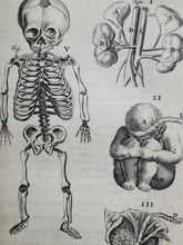 Load image into Gallery viewer, Anatomia ex Caspari Bartholini parentis Institutionibus omniumque recentiorum &amp; propriis observationibus tertiùm ad sanguinis circulationem reformata, 1651