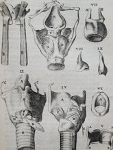 Load image into Gallery viewer, Anatomia ex Caspari Bartholini parentis Institutionibus omniumque recentiorum &amp; propriis observationibus tertiùm ad sanguinis circulationem reformata, 1651