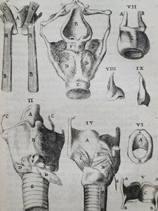 Anatomia ex Caspari Bartholini parentis Institutionibus omniumque recentiorum &amp; propriis observationibus tertiùm ad sanguinis circulationem reformata, 1651