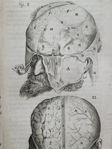 Anatomia ex Caspari Bartholini parentis Institutionibus omniumque recentiorum &amp; propriis observationibus tertiùm ad sanguinis circulationem reformata, 1651