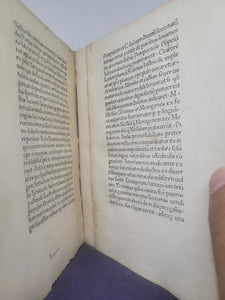 Polyhistor, sive De Mirabilibus Mundi, sive Collectanea Rerum Memorabilium, 1474-1475. Wonders of the World, with An Illuminated Opening