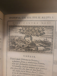 Delle Allusioni, Imprese, et Emblemi del Signor Principio Fabricii, 1588. First and Only Edition of this Allegorical Emblem Book