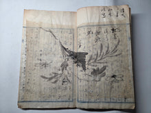 Load image into Gallery viewer, Ochibashu (Fallen Leaves Collection), Circa 1870-1890 (Meiji Period). Illustrated Manuscript of 52 Pages of Paintings, Sketches, and Drawings of Flowers and Other Figures, Some Copied from Earlier Examples, Pasted Over an Existing Manuscript