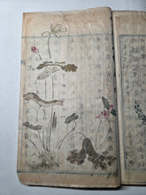 Load image into Gallery viewer, Ochibashu (Fallen Leaves Collection), Circa 1870-1890 (Meiji Period). Illustrated Manuscript of 52 Pages of Paintings, Sketches, and Drawings of Flowers and Other Figures, Some Copied from Earlier Examples, Pasted Over an Existing Manuscript