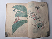 Load image into Gallery viewer, Shasei-Cho (Drawing Book), Circa 1860-1890 (Late Edo to Meiji Period). Hand Colored Manuscript Sketchbook with Dozens of Paintings and Sketches, including Courtesans and Noblewomen, and a Yurei. Possibly for Craft Projects