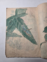 Load image into Gallery viewer, Shasei-Cho (Drawing Book), Circa 1860-1890 (Late Edo to Meiji Period). Hand Colored Manuscript Sketchbook with Dozens of Paintings and Sketches, including Courtesans and Noblewomen, and a Yurei. Possibly for Craft Projects