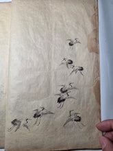 Load image into Gallery viewer, Japanese Manuscript Sketchbook of Various Plants and Birds, 19th Century. 20 Pages of Pen and Ink Illustrations. Likely for Crafts