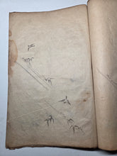 Load image into Gallery viewer, Japanese Manuscript Sketchbook of Various Plants and Birds, 19th Century. 20 Pages of Pen and Ink Illustrations. Likely for Crafts