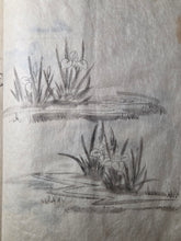 Load image into Gallery viewer, Japanese Manuscript Sketchbook of Various Plants, Ceramics, and Birds, With One Full-Page Illustration of a Bonsai, 19th Century. 27 Pages of Pen and Ink Illustrations. Likely for Crafts