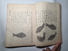 Load image into Gallery viewer, Fish Encyclopedia, 1800-1850 (Late Edo Period). Illustrated Manuscript Encyclopedia, or Fishing Guide on Fish, On Features and Flavor, Medical Benefits, and Where to Find Them