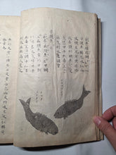 Load image into Gallery viewer, Fish Encyclopedia, 1800-1850 (Late Edo Period). Illustrated Manuscript Encyclopedia, or Fishing Guide on Fish, On Features and Flavor, Medical Benefits, and Where to Find Them
