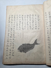 Load image into Gallery viewer, Fish Encyclopedia, 1800-1850 (Late Edo Period). Illustrated Manuscript Encyclopedia, or Fishing Guide on Fish, On Features and Flavor, Medical Benefits, and Where to Find Them