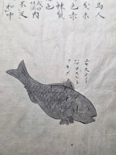 Load image into Gallery viewer, Fish Encyclopedia, 1800-1850 (Late Edo Period). Illustrated Manuscript Encyclopedia, or Fishing Guide on Fish, On Features and Flavor, Medical Benefits, and Where to Find Them