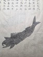 Load image into Gallery viewer, Fish Encyclopedia, 1800-1850 (Late Edo Period). Illustrated Manuscript Encyclopedia, or Fishing Guide on Fish, On Features and Flavor, Medical Benefits, and Where to Find Them