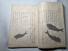 Load image into Gallery viewer, Fish Encyclopedia, 1800-1850 (Late Edo Period). Illustrated Manuscript Encyclopedia, or Fishing Guide on Fish, On Features and Flavor, Medical Benefits, and Where to Find Them