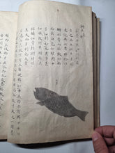 Load image into Gallery viewer, Fish Encyclopedia, 1800-1850 (Late Edo Period). Illustrated Manuscript Encyclopedia, or Fishing Guide on Fish, On Features and Flavor, Medical Benefits, and Where to Find Them