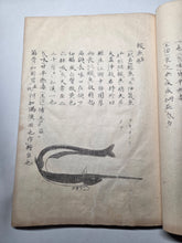 Load image into Gallery viewer, Fish Encyclopedia, 1800-1850 (Late Edo Period). Illustrated Manuscript Encyclopedia, or Fishing Guide on Fish, On Features and Flavor, Medical Benefits, and Where to Find Them