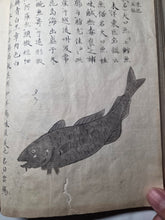 Load image into Gallery viewer, Fish Encyclopedia, 1800-1850 (Late Edo Period). Illustrated Manuscript Encyclopedia, or Fishing Guide on Fish, On Features and Flavor, Medical Benefits, and Where to Find Them