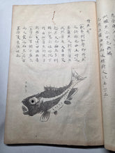 Load image into Gallery viewer, Fish Encyclopedia, 1800-1850 (Late Edo Period). Illustrated Manuscript Encyclopedia, or Fishing Guide on Fish, On Features and Flavor, Medical Benefits, and Where to Find Them