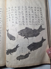 Load image into Gallery viewer, Fish Encyclopedia, 1800-1850 (Late Edo Period). Illustrated Manuscript Encyclopedia, or Fishing Guide on Fish, On Features and Flavor, Medical Benefits, and Where to Find Them