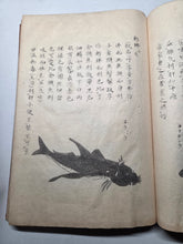 Load image into Gallery viewer, Fish Encyclopedia, 1800-1850 (Late Edo Period). Illustrated Manuscript Encyclopedia, or Fishing Guide on Fish, On Features and Flavor, Medical Benefits, and Where to Find Them