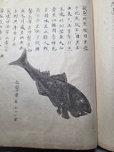 Load image into Gallery viewer, Fish Encyclopedia, 1800-1850 (Late Edo Period). Illustrated Manuscript Encyclopedia, or Fishing Guide on Fish, On Features and Flavor, Medical Benefits, and Where to Find Them