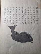 Load image into Gallery viewer, Fish Encyclopedia, 1800-1850 (Late Edo Period). Illustrated Manuscript Encyclopedia, or Fishing Guide on Fish, On Features and Flavor, Medical Benefits, and Where to Find Them