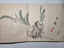 Load image into Gallery viewer, A Late Edo to Early Meiji Period Painting Album, Circa 1840-1870. 24 Double Page Paintings of Beautiful Sumi-E Ink Wash Paintings
