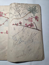 Load image into Gallery viewer, Nomura Bunkyo Shozō Gakō Shasei (Nomura Bunkyo's Collection of Sketches), Circa 1868-1875. Early Meiji Sketchbook by a Japanese Painter of the Shijo School, with 90 Pages of Floral Sketches and Ink Paintings, Many Double Paged Spreads and All in Color