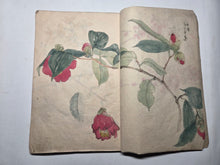 Load image into Gallery viewer, Nomura Bunkyo Shozō Gakō Shasei (Nomura Bunkyo's Collection of Sketches), Circa 1868-1875. Early Meiji Sketchbook by a Japanese Painter of the Shijo School, with 90 Pages of Floral Sketches and Ink Paintings, Many Double Paged Spreads and All in Color