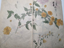 Load image into Gallery viewer, Nomura Bunkyo Shozō Gakō Shasei (Nomura Bunkyo's Collection of Sketches), Circa 1868-1875. Early Meiji Sketchbook by a Japanese Painter of the Shijo School, with 90 Pages of Floral Sketches and Ink Paintings, Many Double Paged Spreads and All in Color