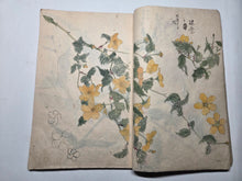 Load image into Gallery viewer, Nomura Bunkyo Shozō Gakō Shasei (Nomura Bunkyo's Collection of Sketches), Circa 1868-1875. Early Meiji Sketchbook by a Japanese Painter of the Shijo School, with 90 Pages of Floral Sketches and Ink Paintings, Many Double Paged Spreads and All in Color