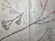 Load image into Gallery viewer, Nomura Bunkyo Shozō Gakō Shasei (Nomura Bunkyo's Collection of Sketches), Circa 1868-1875. Early Meiji Sketchbook by a Japanese Painter of the Shijo School, with 90 Pages of Floral Sketches and Ink Paintings, Many Double Paged Spreads and All in Color