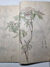 Load image into Gallery viewer, Nomura Bunkyo Shozō Gakō Shasei (Nomura Bunkyo's Collection of Sketches), Circa 1868-1875. Early Meiji Sketchbook by a Japanese Painter of the Shijo School, with 90 Pages of Floral Sketches and Ink Paintings, Many Double Paged Spreads and All in Color