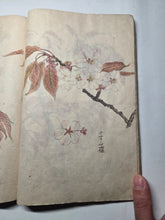 Load image into Gallery viewer, Nomura Bunkyo Shozō Gakō Shasei (Nomura Bunkyo's Collection of Sketches), Circa 1868-1875. Early Meiji Sketchbook by a Japanese Painter of the Shijo School, with 90 Pages of Floral Sketches and Ink Paintings, Many Double Paged Spreads and All in Color
