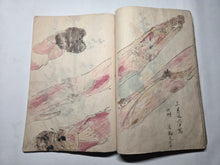 Load image into Gallery viewer, Nomura Bunkyo Shozō Gakō Shasei (Nomura Bunkyo's Collection of Sketches), Circa 1868-1875. Early Meiji Sketchbook by a Japanese Painter of the Shijo School, with 90 Pages of Floral Sketches and Ink Paintings, Many Double Paged Spreads and All in Color