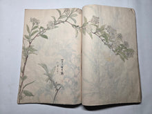 Load image into Gallery viewer, Nomura Bunkyo Shozō Gakō Shasei (Nomura Bunkyo's Collection of Sketches), Circa 1868-1875. Early Meiji Sketchbook by a Japanese Painter of the Shijo School, with 90 Pages of Floral Sketches and Ink Paintings, Many Double Paged Spreads and All in Color