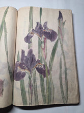 Load image into Gallery viewer, Nomura Bunkyo Shozō Gakō Shasei (Nomura Bunkyo's Collection of Sketches), Circa 1868-1875. Early Meiji Sketchbook by a Japanese Painter of the Shijo School, with 90 Pages of Floral Sketches and Ink Paintings, Many Double Paged Spreads and All in Color