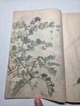 Load image into Gallery viewer, Nomura Bunkyo Shozō Gakō Shasei (Nomura Bunkyo's Collection of Sketches), Circa 1868-1875. Early Meiji Sketchbook by a Japanese Painter of the Shijo School, with 90 Pages of Floral Sketches and Ink Paintings, Many Double Paged Spreads and All in Color