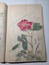 Load image into Gallery viewer, Nomura Bunkyo Shozō Gakō Shasei (Nomura Bunkyo's Collection of Sketches), Circa 1868-1875. Early Meiji Sketchbook by a Japanese Painter of the Shijo School, with 90 Pages of Floral Sketches and Ink Paintings, Many Double Paged Spreads and All in Color
