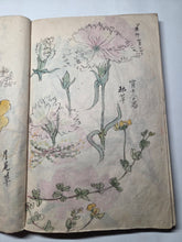 Load image into Gallery viewer, Nomura Bunkyo Shozō Gakō Shasei (Nomura Bunkyo's Collection of Sketches), Circa 1868-1875. Early Meiji Sketchbook by a Japanese Painter of the Shijo School, with 90 Pages of Floral Sketches and Ink Paintings, Many Double Paged Spreads and All in Color