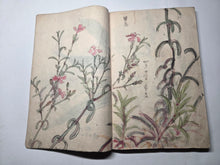 Load image into Gallery viewer, Nomura Bunkyo Shozō Gakō Shasei (Nomura Bunkyo's Collection of Sketches), Circa 1868-1875. Early Meiji Sketchbook by a Japanese Painter of the Shijo School, with 90 Pages of Floral Sketches and Ink Paintings, Many Double Paged Spreads and All in Color
