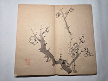 Load image into Gallery viewer, A Southern School Painting Album, Circa 1850-1900. Late Qing Dynasty Album of 15 Double Paged Ink and Wash Paintings
